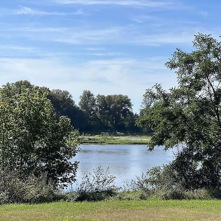 Вілла * Domaine De La Solaie * - Proche Bords De Loire Saint-Denis-de l'Hotel Екстер'єр фото