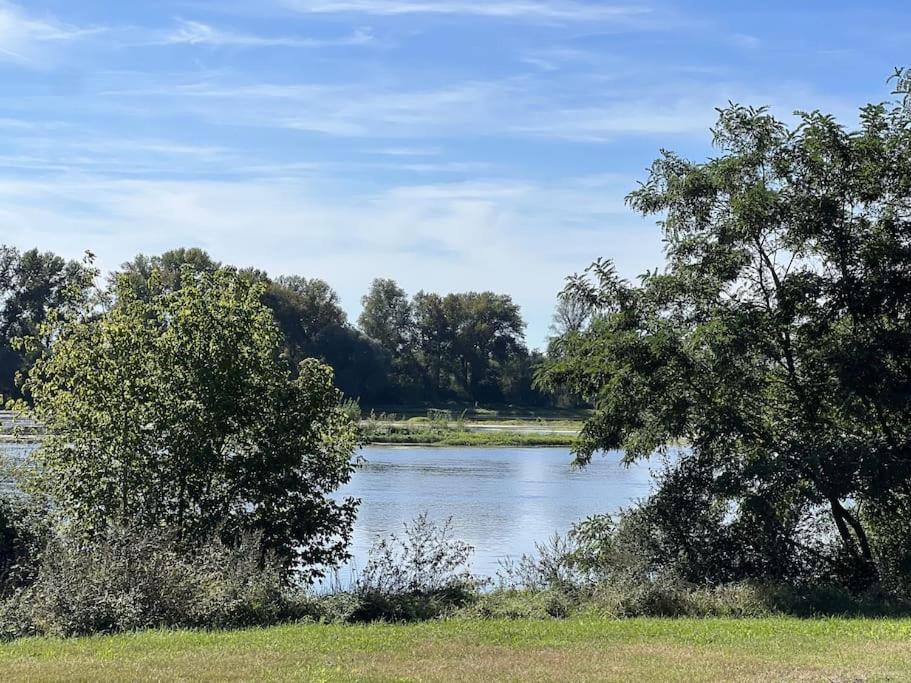 Вілла * Domaine De La Solaie * - Proche Bords De Loire Saint-Denis-de l'Hotel Екстер'єр фото